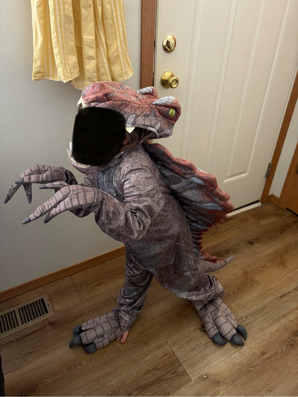 Spinosaurus Dinosaur Costume for Kids